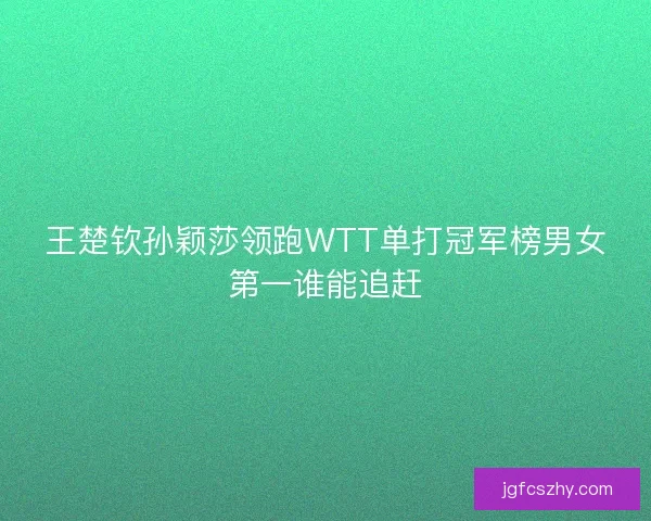 王楚钦孙颖莎领跑WTT单打冠军榜男女第一谁能追赶